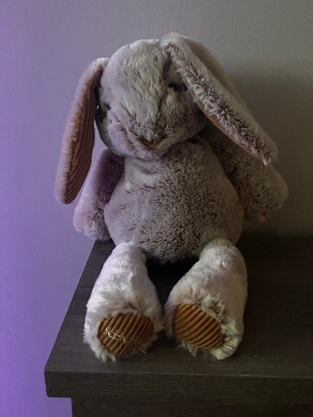 Scentsy Plush Bunny - Buttery soft & Corduroy Paws